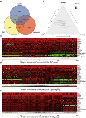 Microbiome landscape of lesions and adjacent normal mucosal areas in oral lichen planus patient